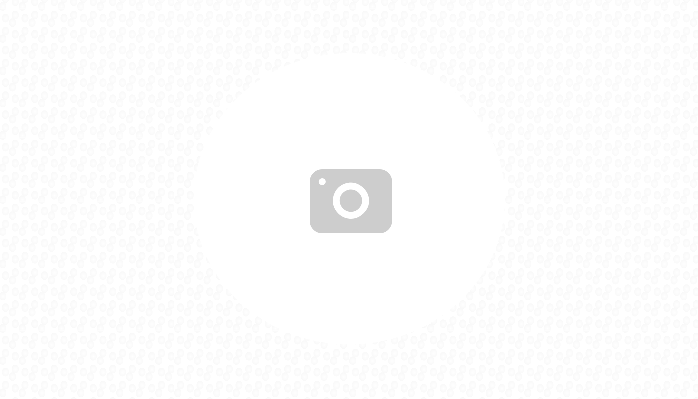 The Evolution Of Cinema Celebrations And Their Global Influence